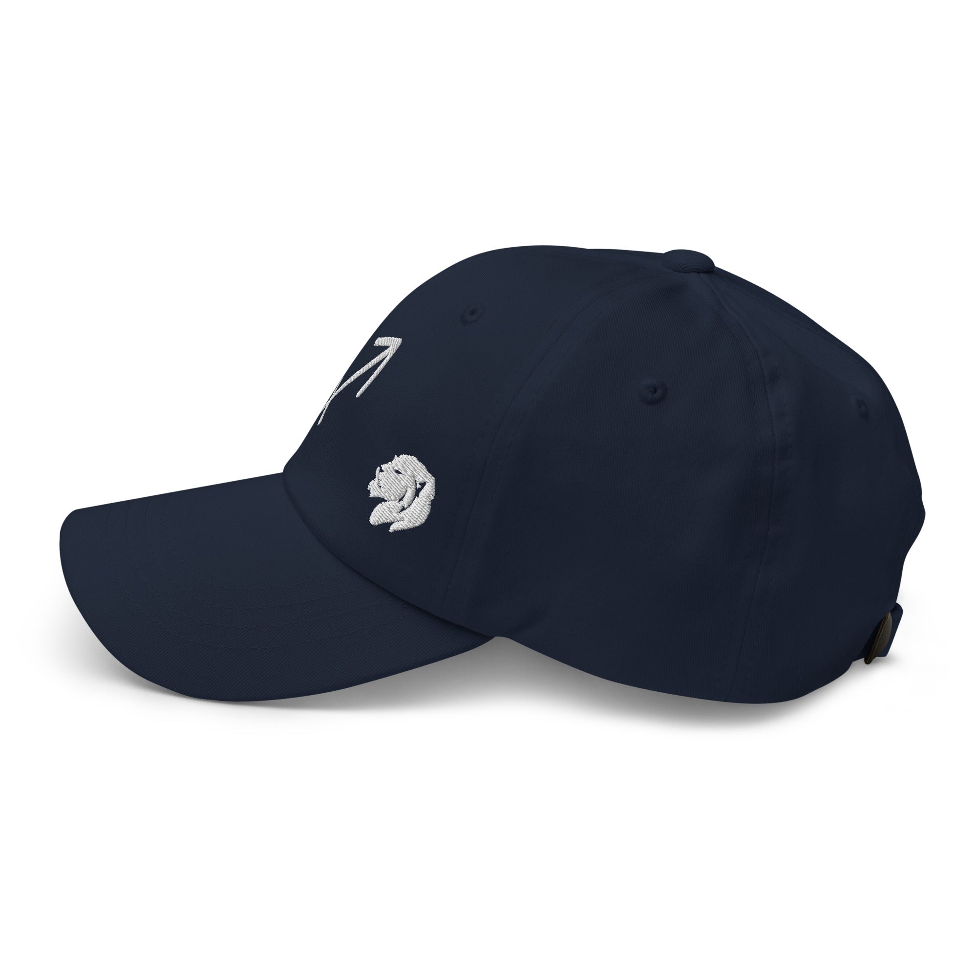 Sagittarius Baseball Cap – MKK Lion Hats